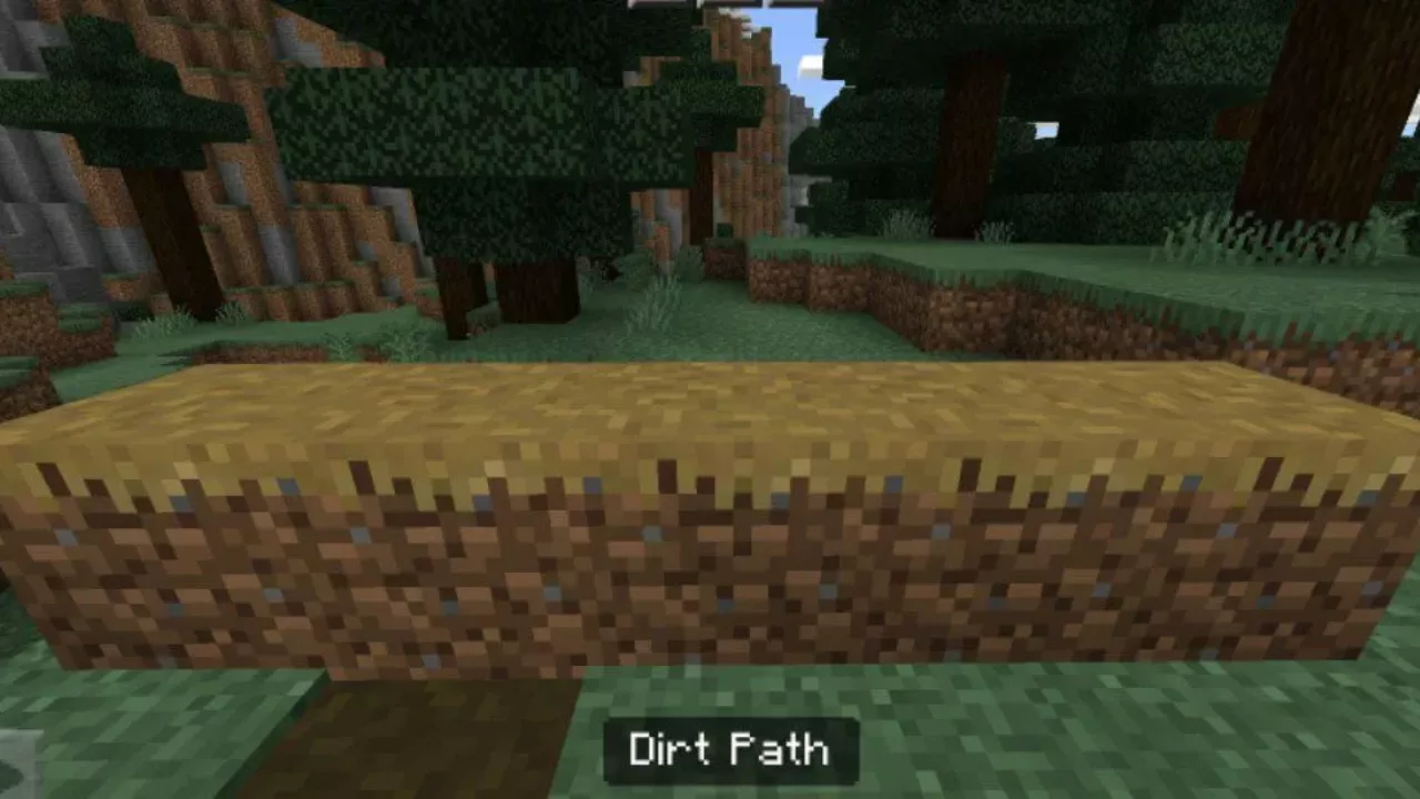 Dirt Path from Dirt Texture Pack for Minecraft PE