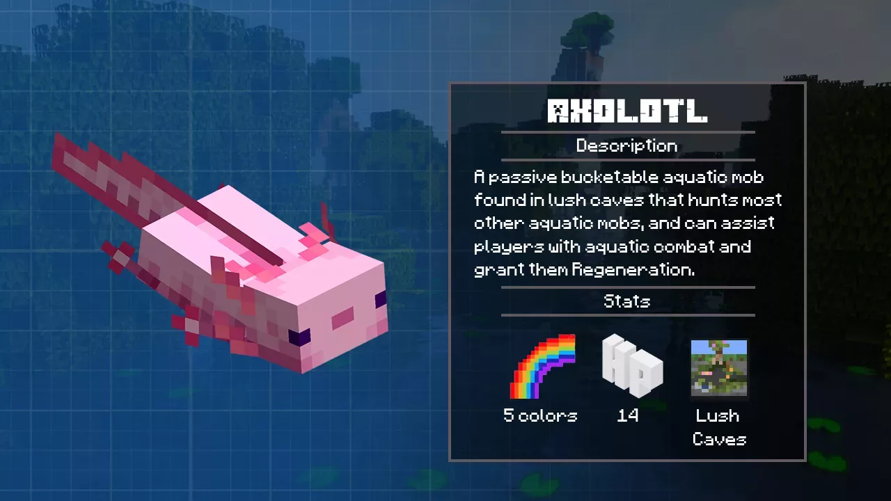 Axolotl from Minecraft PE 1.17