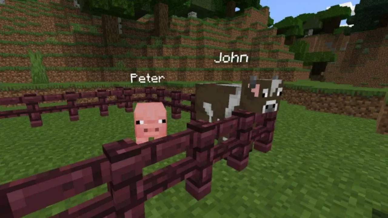 Different Names from Mob Names Mod for Minecraft PE