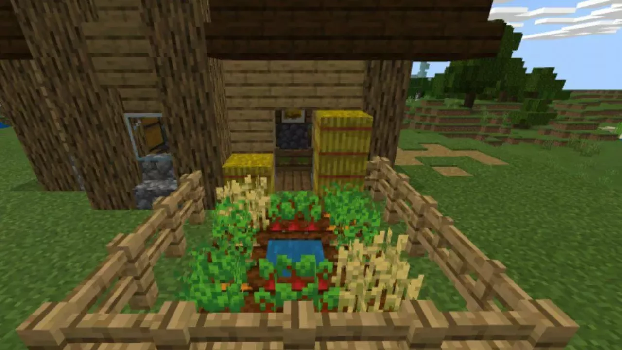 Farm from Starter House Map for Minecraft PE