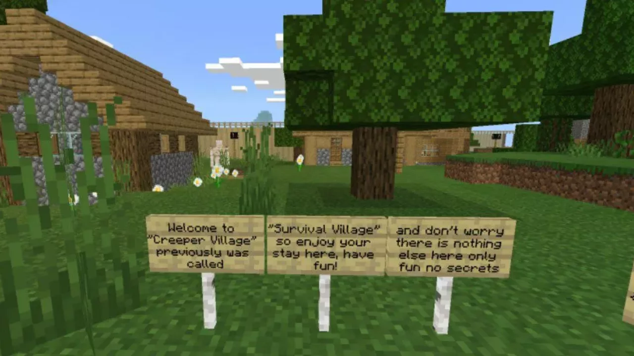 Information from Survival Village Map for Minecraft PE