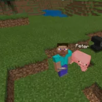 Mob Names Mod for Minecraft PE