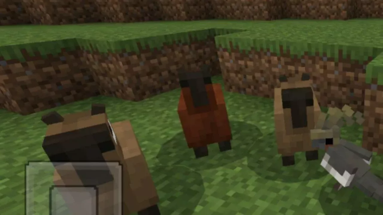 Capybara from Mob Maker Mod for Minecraft PE