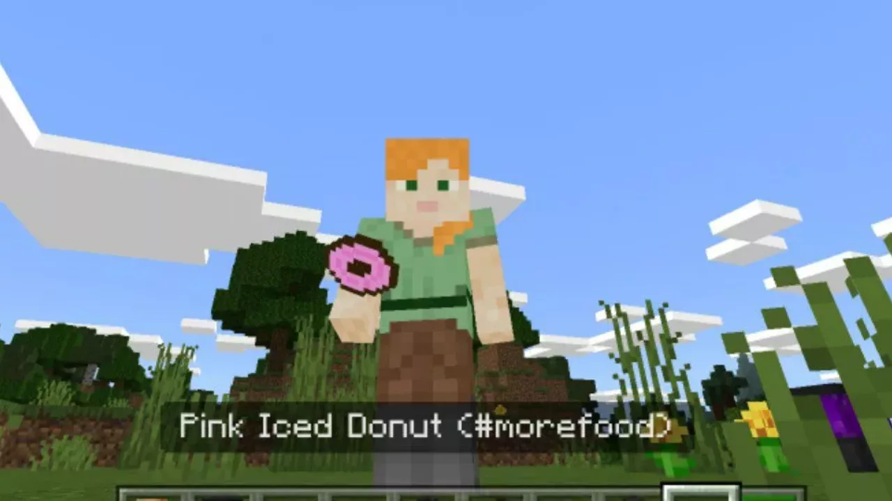 Donut from Quizzes Mod for Minecraft PE