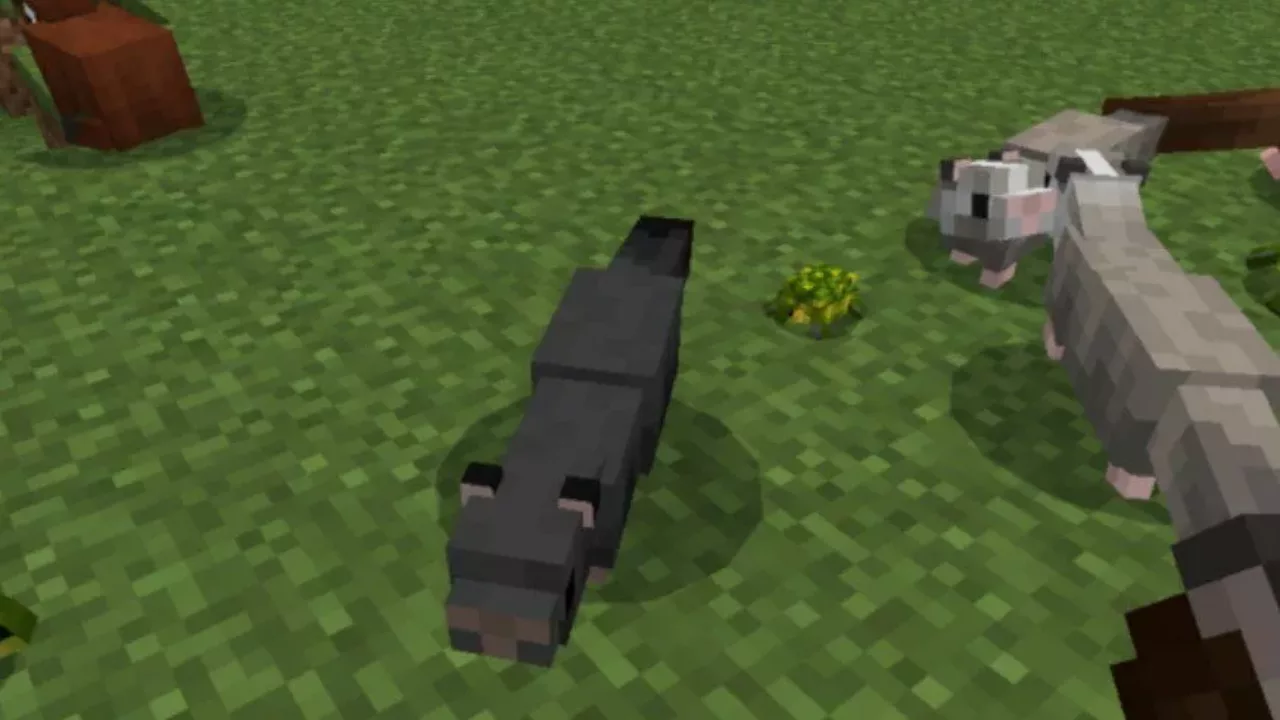 Ferret from Mob Maker Mod for Minecraft PE