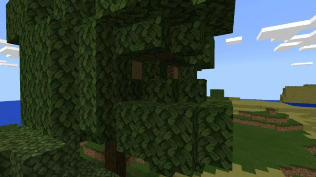 Leaves from Shiftery Shader for Minecraft PE