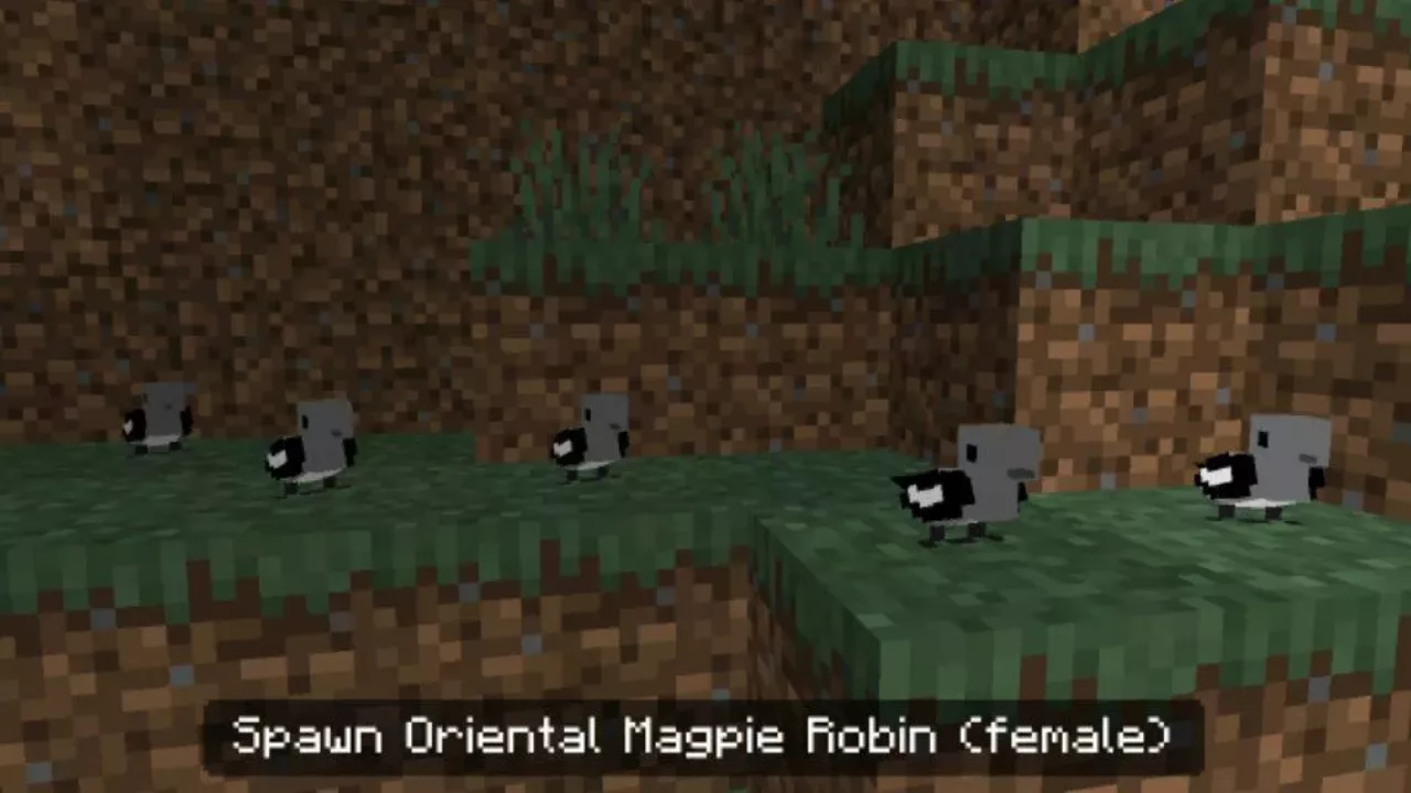 Magpie Robin from Flying Mob Mod for Minecraft PE
