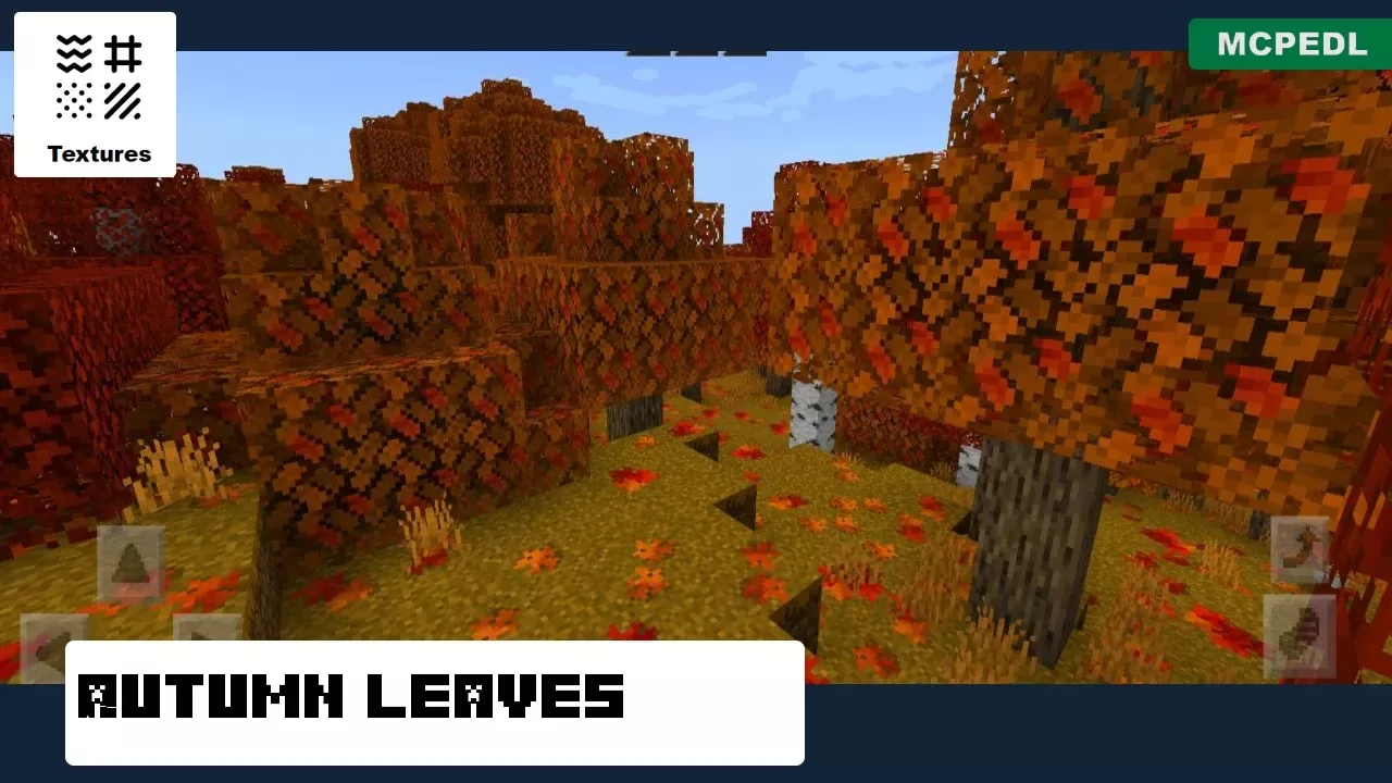 Autumn Leaves from Leaf Texture Pack for Minecraft PE