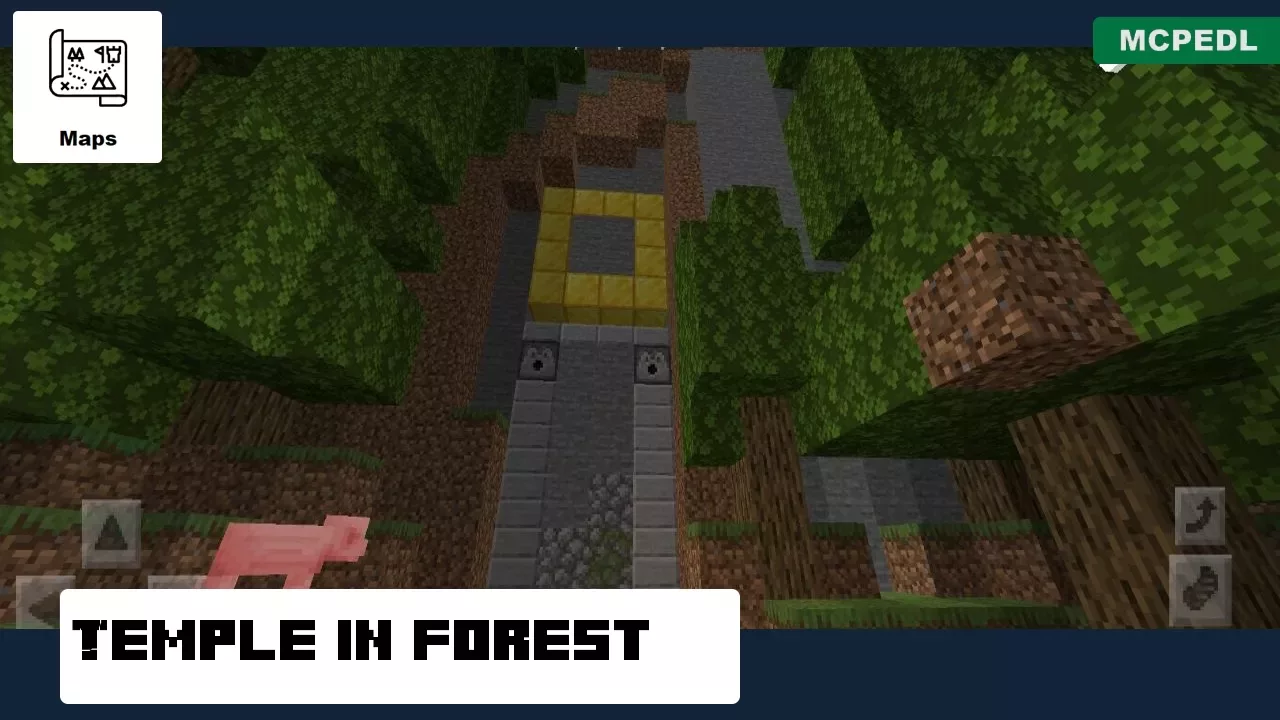 Forest Temple from Village Church Map for Minecraft PE