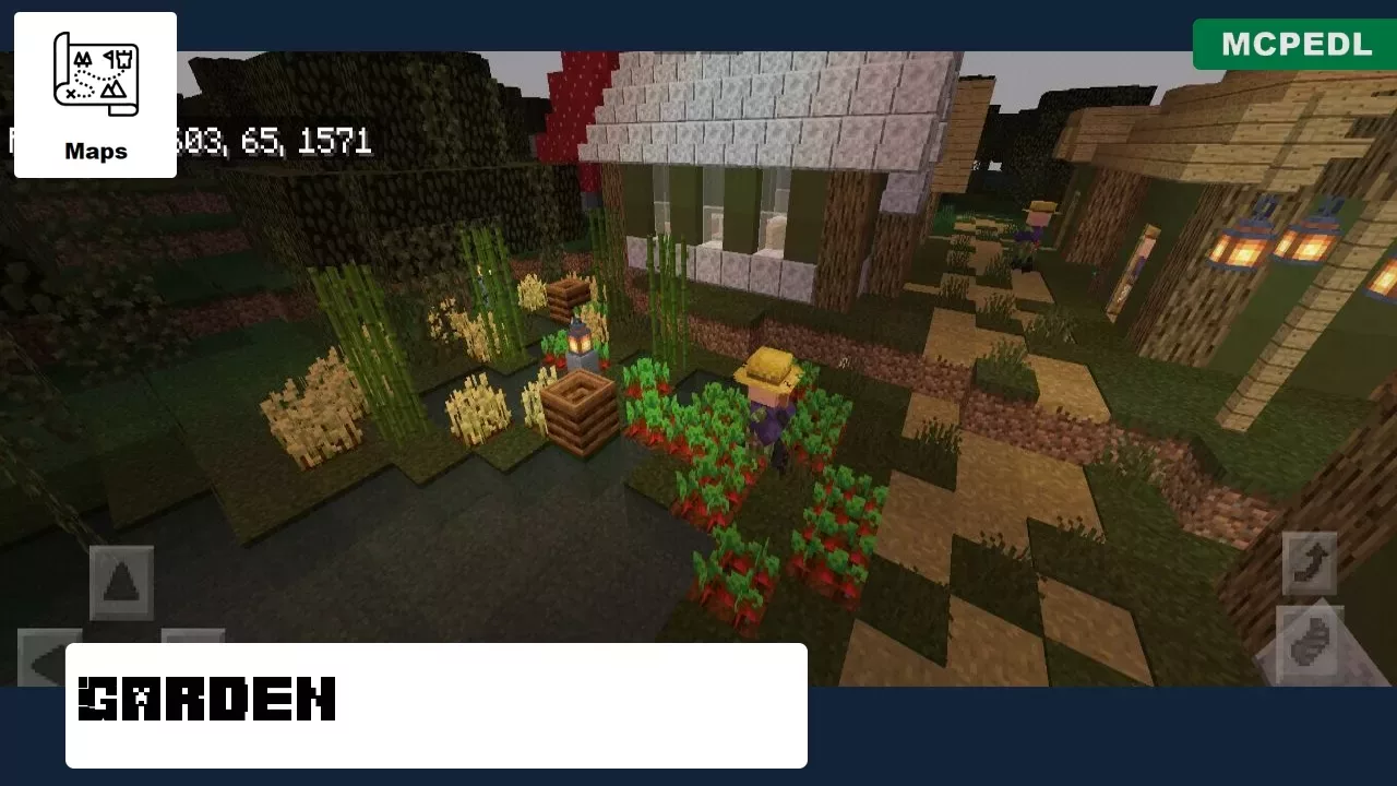 Garden from Swamp Village Map for Minecraft PE