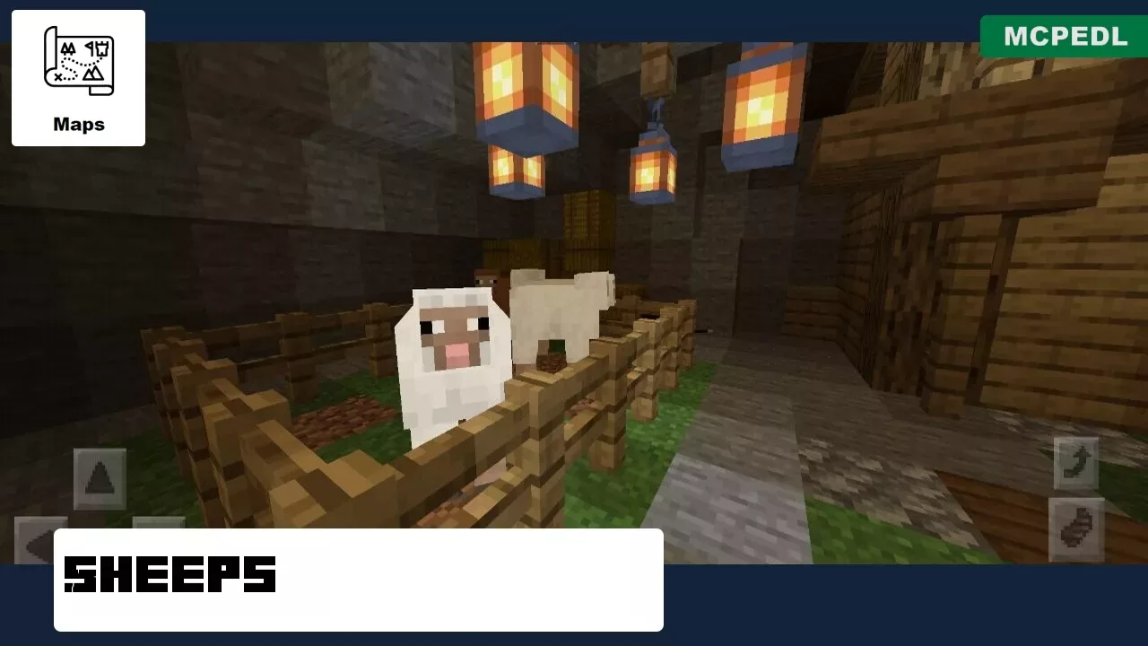 Sheeps from Underground Village Map for Minecraft PE
