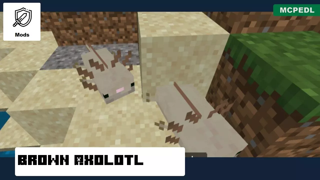 Brown from Axolotl Mod for Minecraft PE