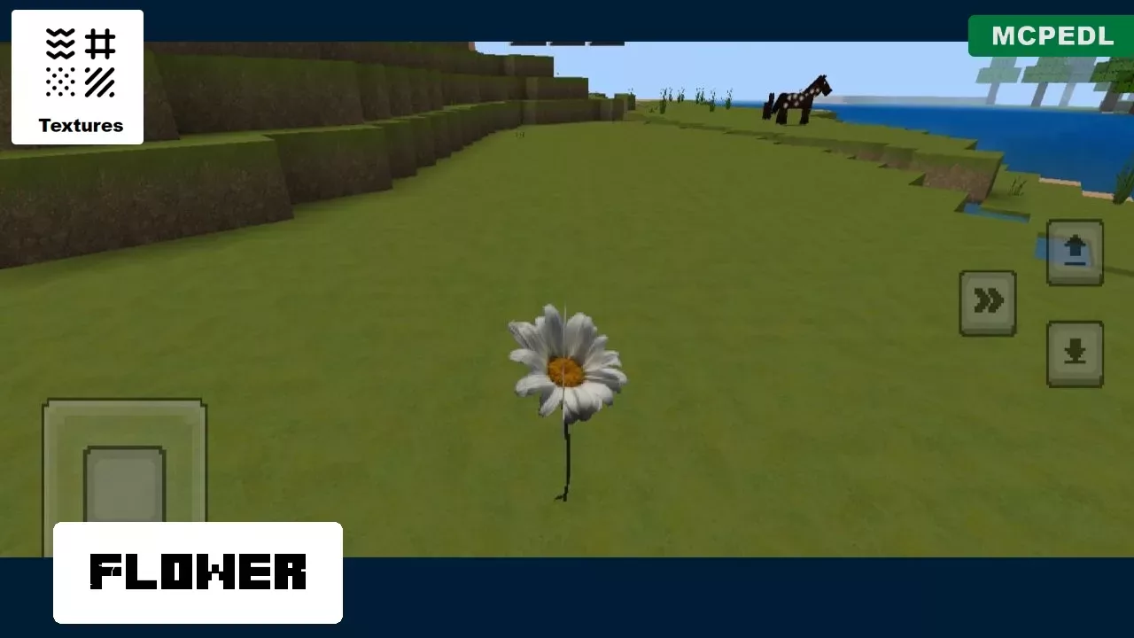 Flower from Real Life Texture Pack for Minecraft PE
