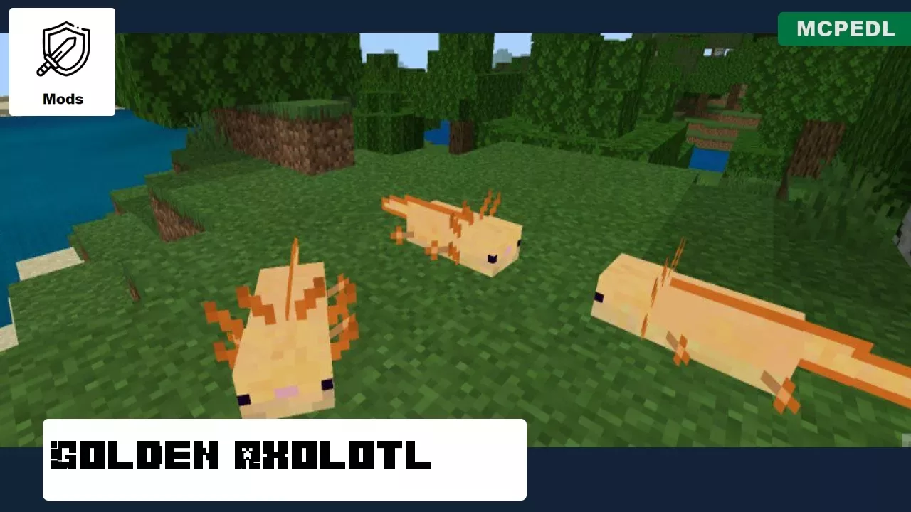 Golden from Axolotl Mod for Minecraft PE