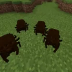 Insects Mob Mods for Minecraft PE Download