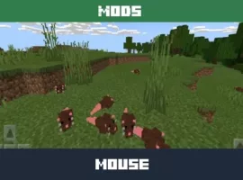 Mouse Mod for Minecraft PE