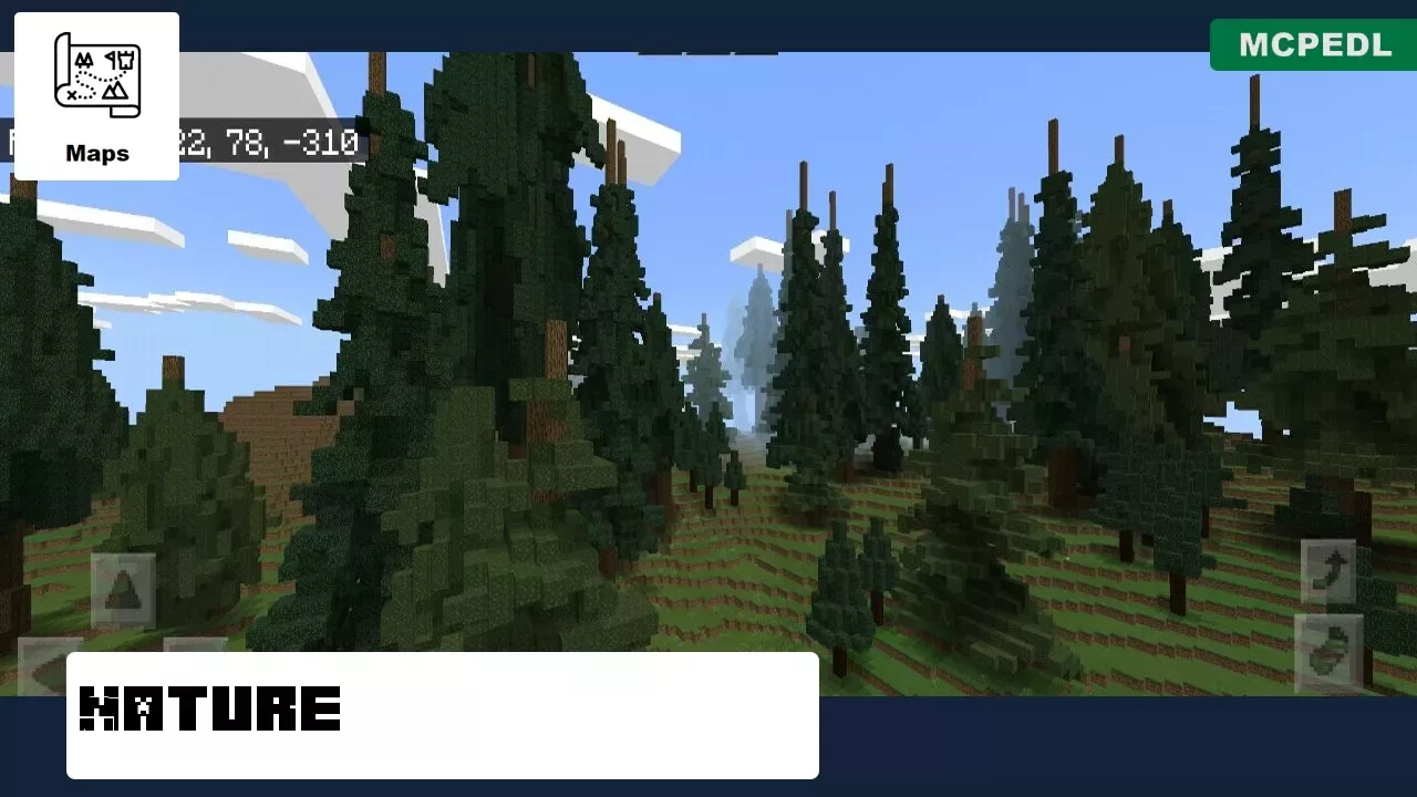 Nature from Spruce Village Map for Minecraft PE