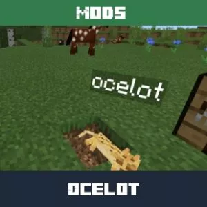 Ocelot Mod for Minecraft PE
