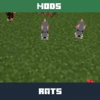 Rats Mod for Minecraft PE
