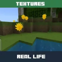 Real-Life Texture Pack for Minecraft PE