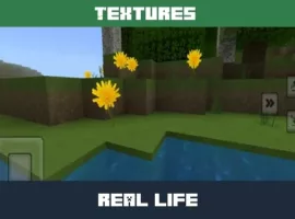 Real-Life Texture Pack for Minecraft PE