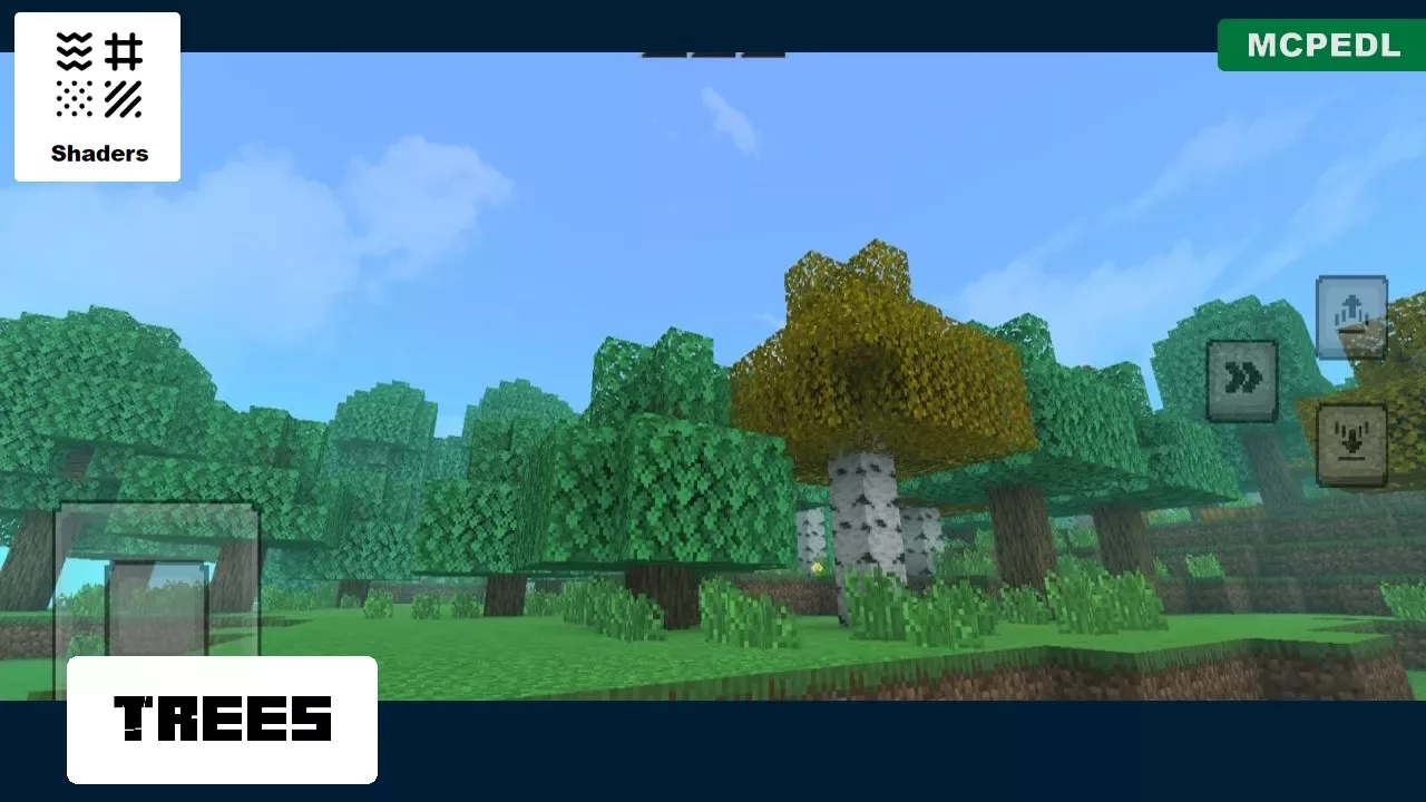 Trees from Iris Shader for Minecraft PE