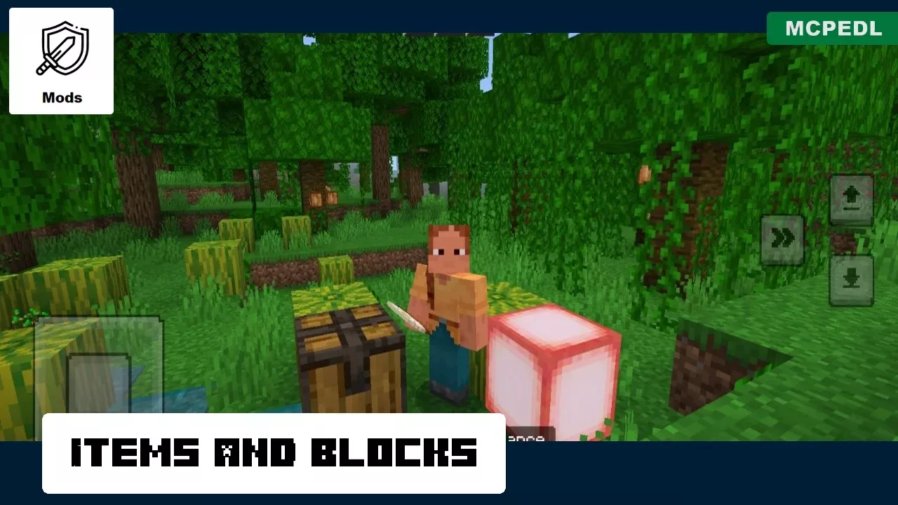 Items and Blocks from Charm Mod for Minecraft PE