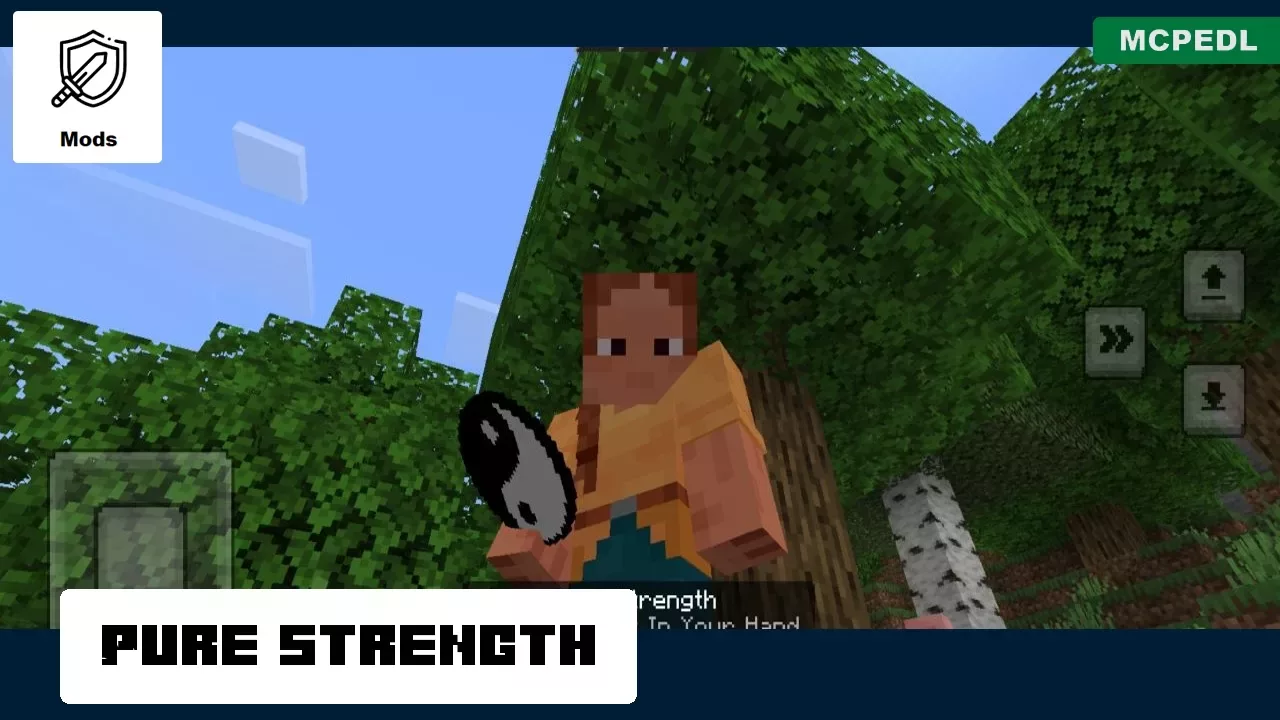 Pure Strenght from Charm Mod for Minecraft PE