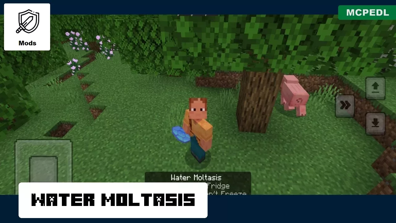Water Moltasis from Charm Mod for Minecraft PE
