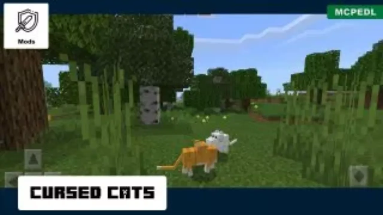 Cats from Cursed Mobs Mod for Minecraft PE
