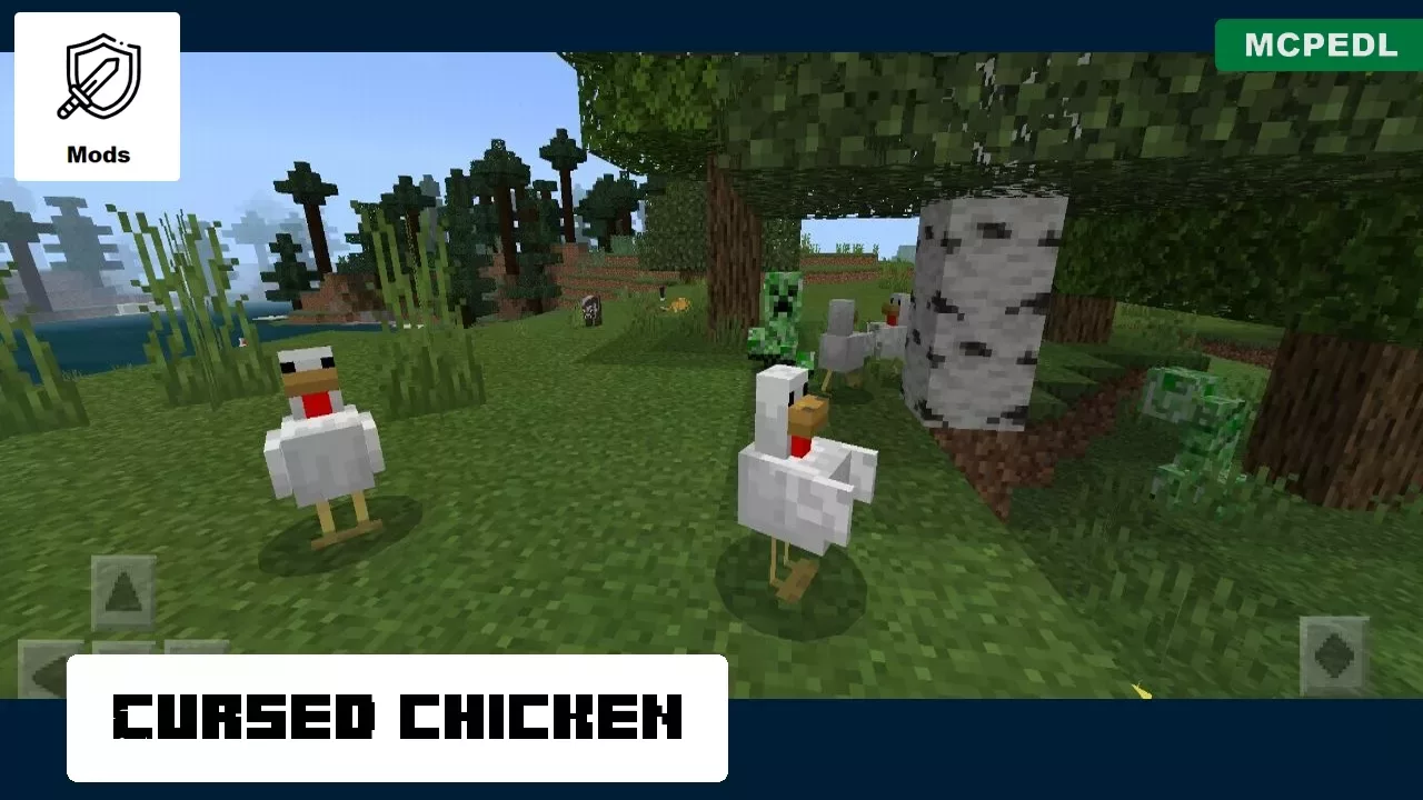 Chicken from Cursed Mobs Mod for Minecraft PE