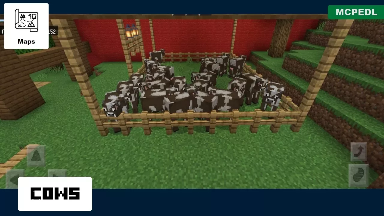 Cows from Farm Village Map for Minecraft PE