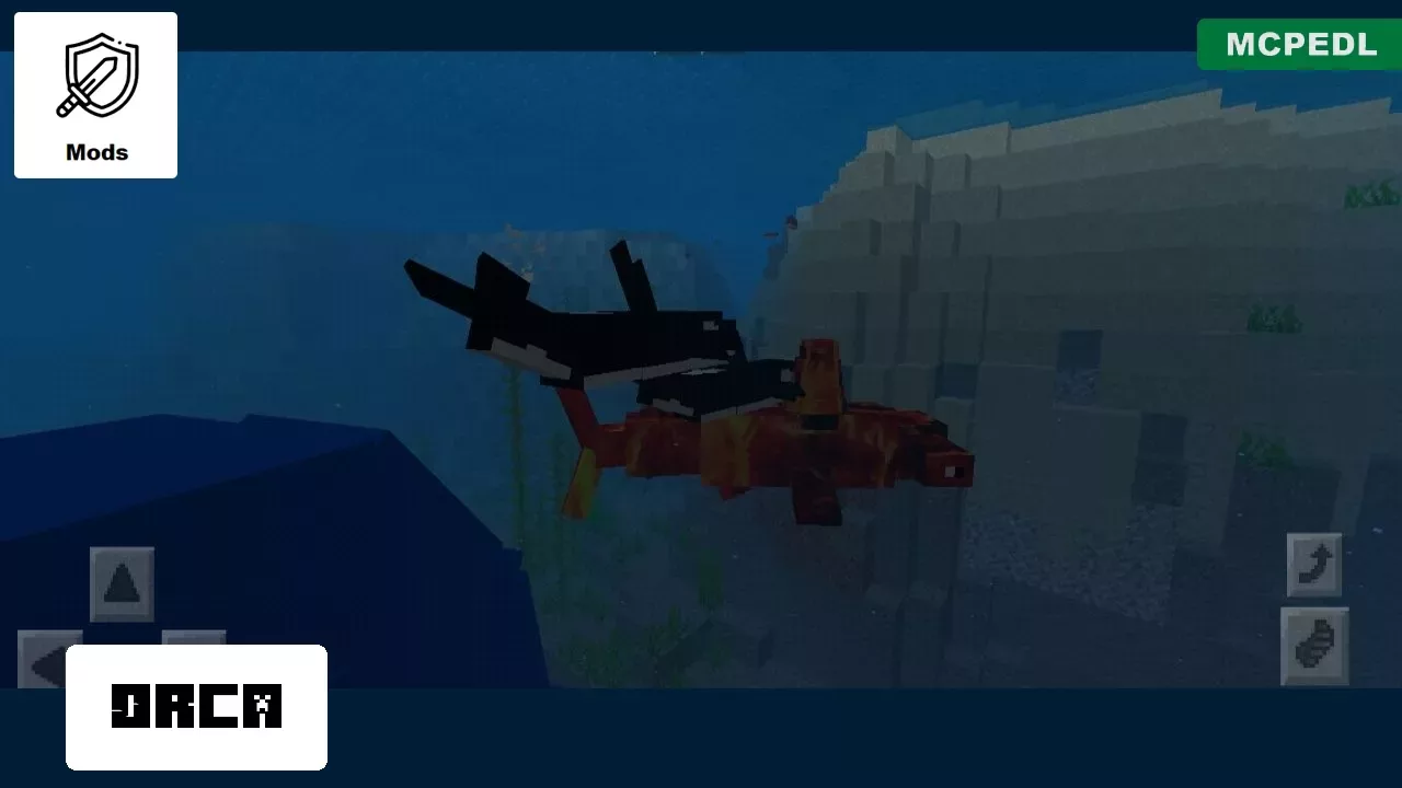 Orca from Water Mobs for Minecraft PE