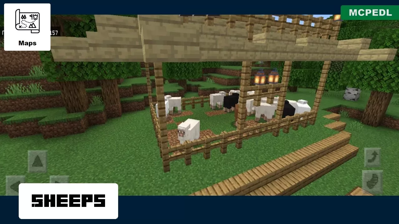 Sheeps from Farm Village Map for Minecraft PE