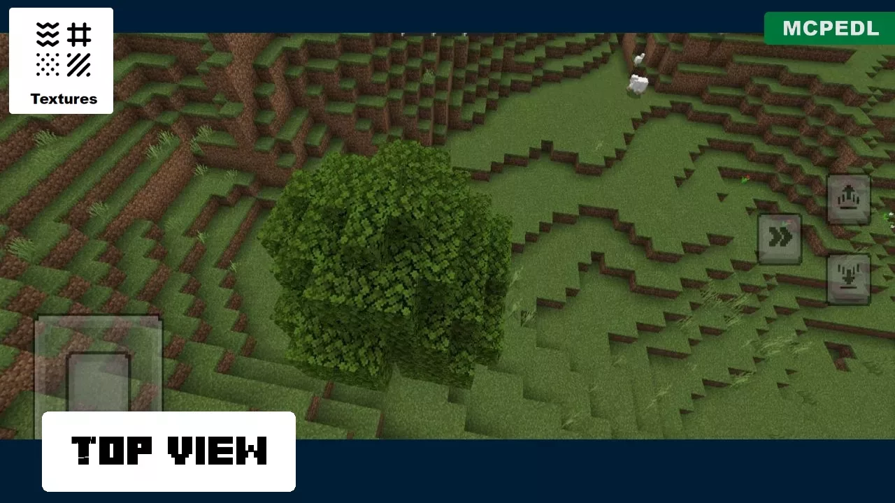 Top View from Leaves Texture Pack for Minecraft PE