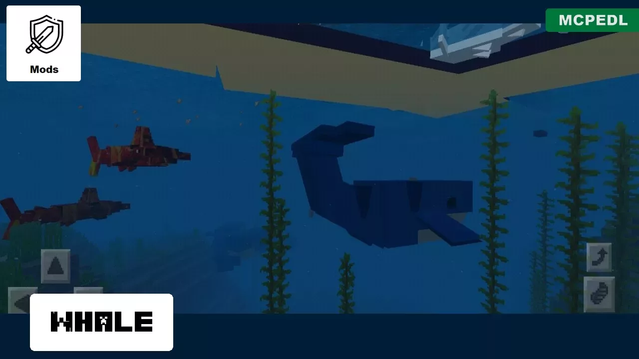 Whale from Water Mobs for Minecraft PE