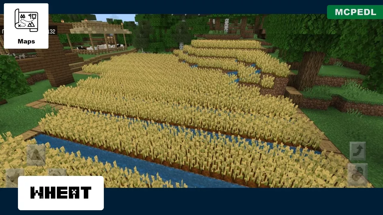 Wheat from Farm Village Map for Minecraft PE
