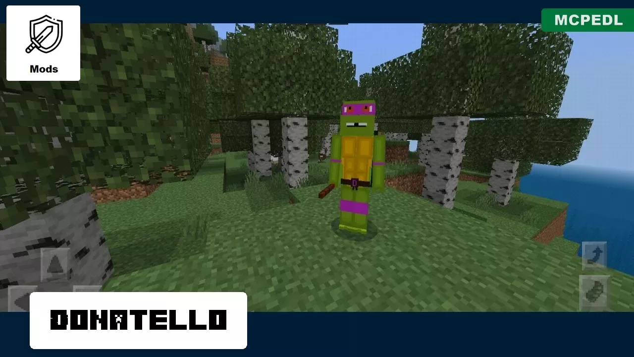 Donatello from Ninja Turtles Mod for Minecraft PE