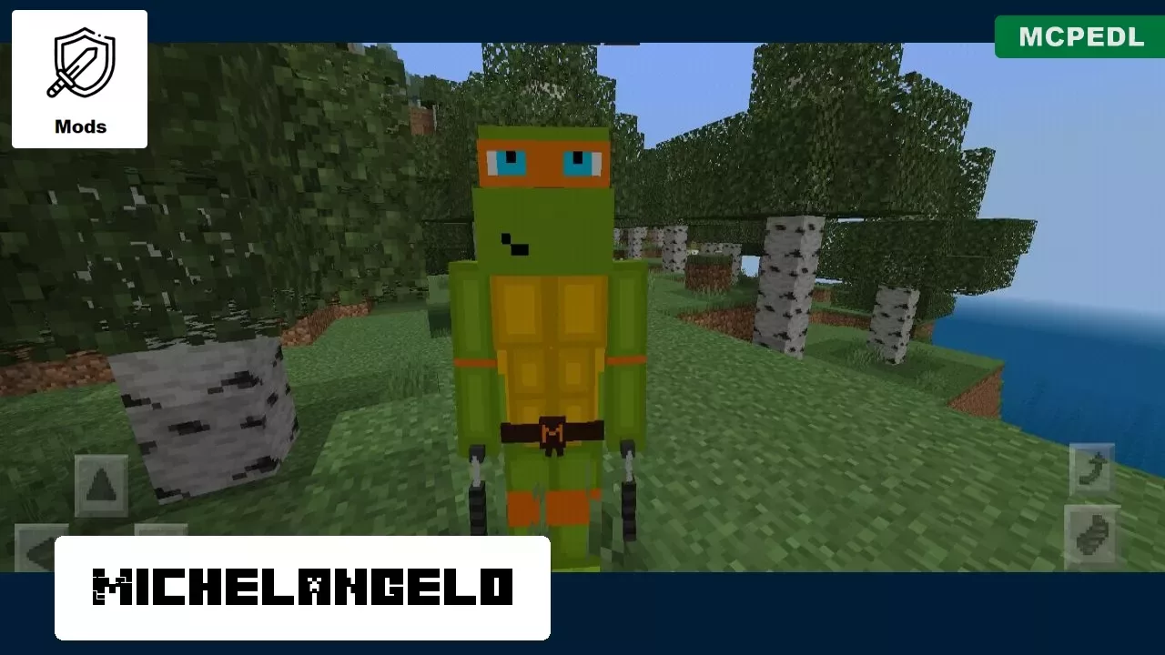 Michelangelo from Ninja Turtles Mod for Minecraft PE