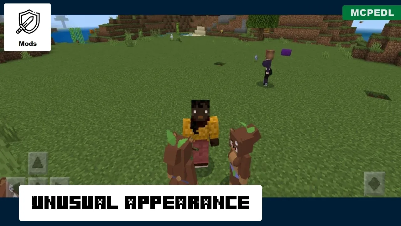 Unusual Appearance from Girl Bia Mod for Minecraft PE