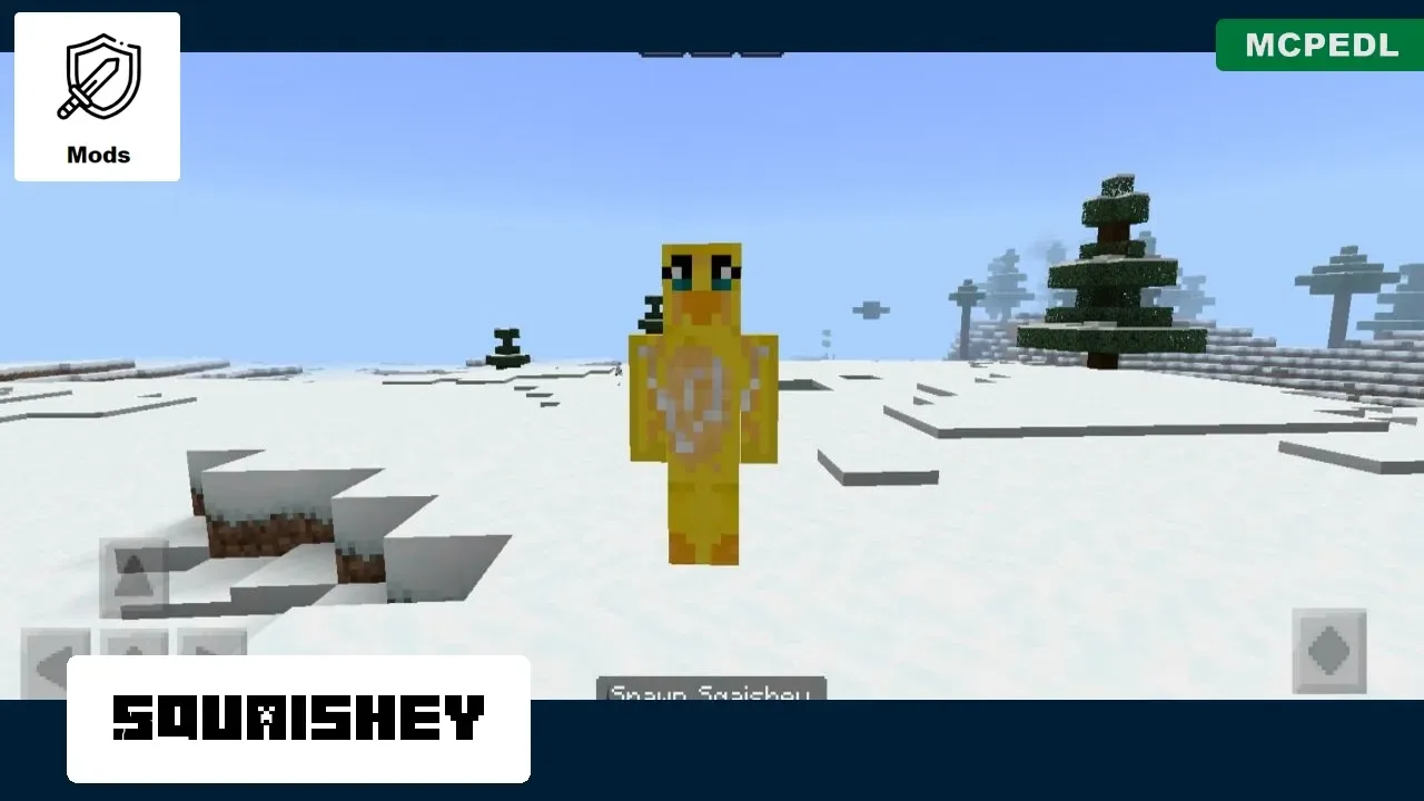 Squaishey from YouTuber Mod for Minecraft PE